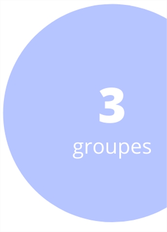 3 groupes