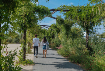 Parc aux Angéliques